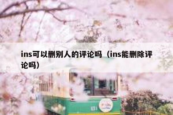 ins可以删别人的评论吗（ins能删除评论吗） 第1张
