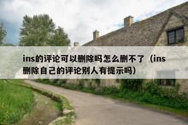 ins的评论可以删除吗怎么删不了（ins删除自己的评论别人有提示吗） 第1张