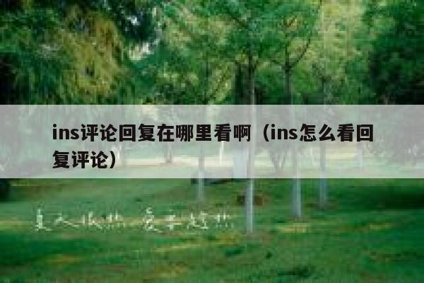 ins评论回复在哪里看啊（ins怎么看回复评论） 第1张