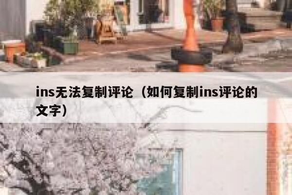 ins无法复制评论（如何复制ins评论的文字） 第1张