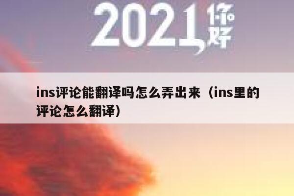 ins评论能翻译吗怎么弄出来（ins里的评论怎么翻译） 第1张