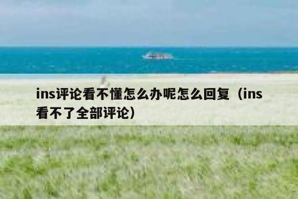 ins评论看不懂怎么办呢怎么回复（ins看不了全部评论） 第1张