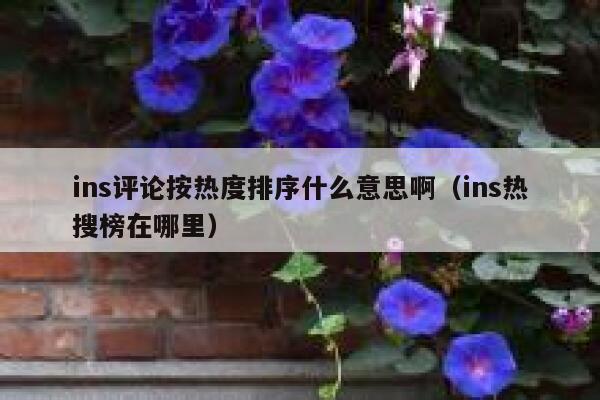 ins评论按热度排序什么意思啊（ins热搜榜在哪里） 第1张
