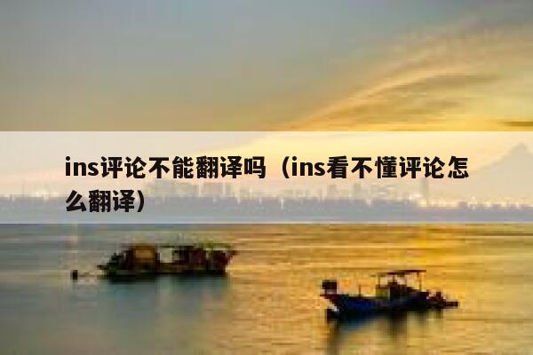 ins评论不能翻译吗（ins看不懂评论怎么翻译） 第1张