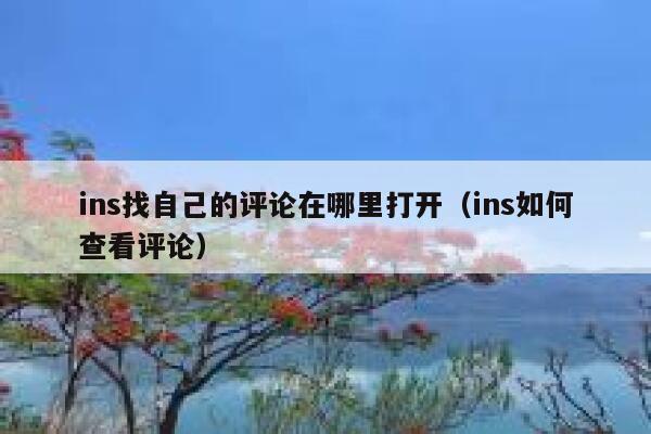 ins找自己的评论在哪里打开（ins如何查看评论） 第1张