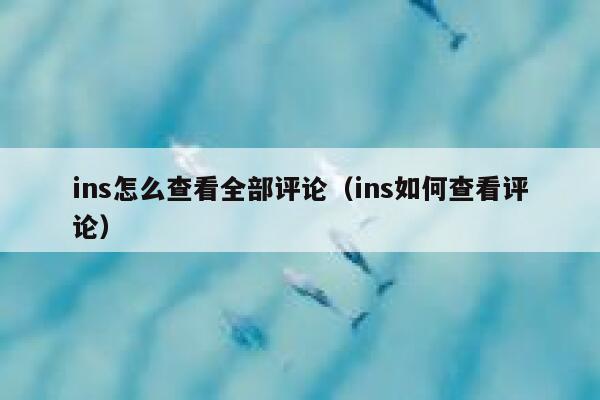 ins怎么查看全部评论（ins如何查看评论） 第1张