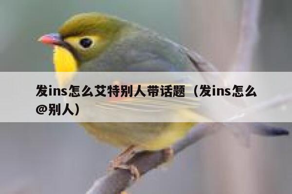 发ins怎么艾特别人带话题（发ins怎么@别人） 第1张