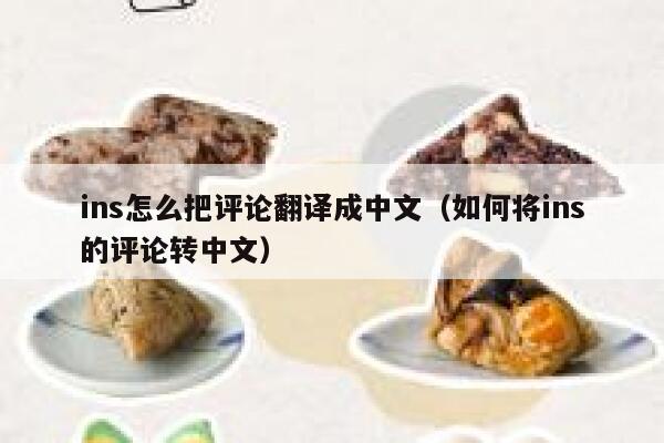 ins怎么把评论翻译成中文（如何将ins的评论转中文） 第1张