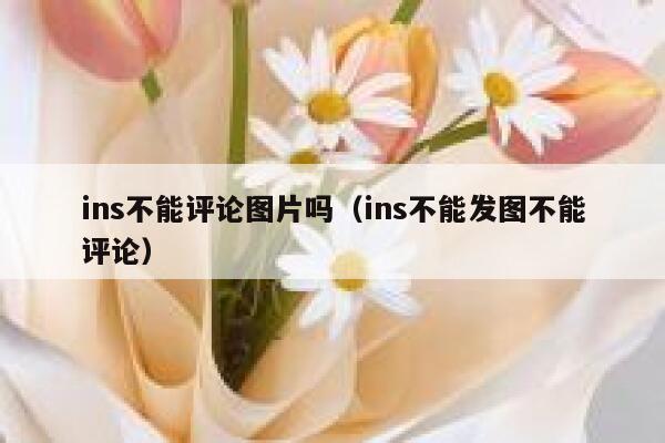 ins不能评论图片吗（ins不能发图不能评论） 第1张