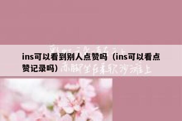 ins可以看到别人点赞吗（ins可以看点赞记录吗） 第1张