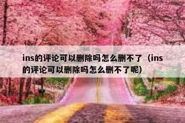 ins的评论可以删除吗怎么删不了（ins的评论可以删除吗怎么删不了呢） 第1张