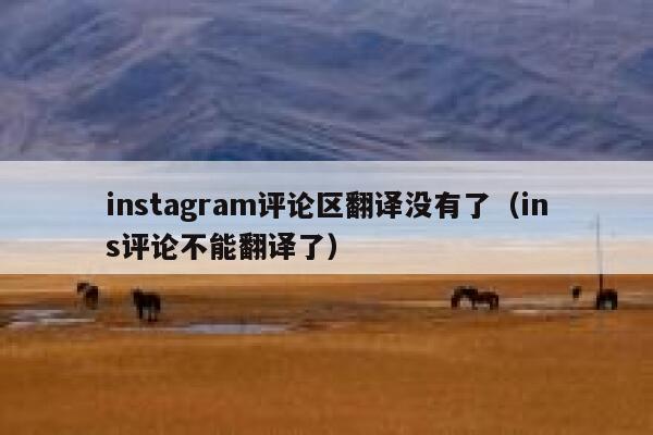 instagram评论区翻译没有了（ins评论不能翻译了） 第1张