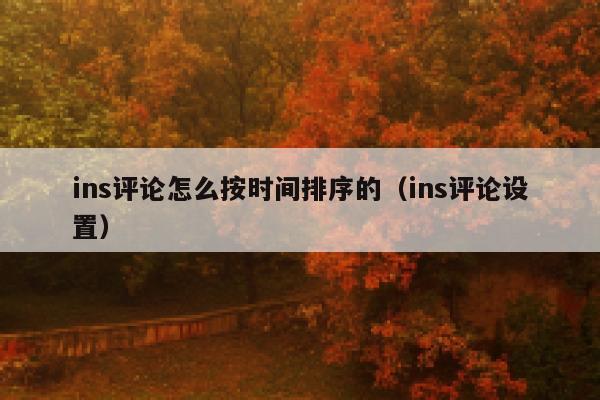 ins评论怎么按时间排序的（ins评论设置） 第1张