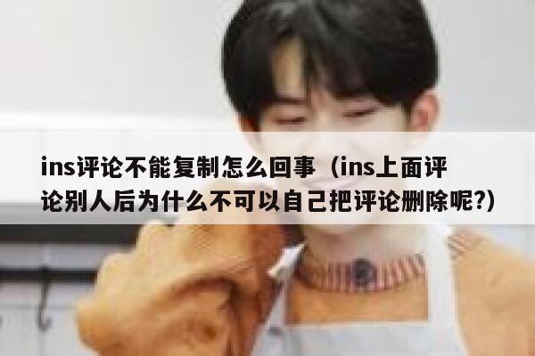 ins评论不能复制怎么回事（ins上面评论别人后为什么不可以自己把评论删除呢?） 第1张