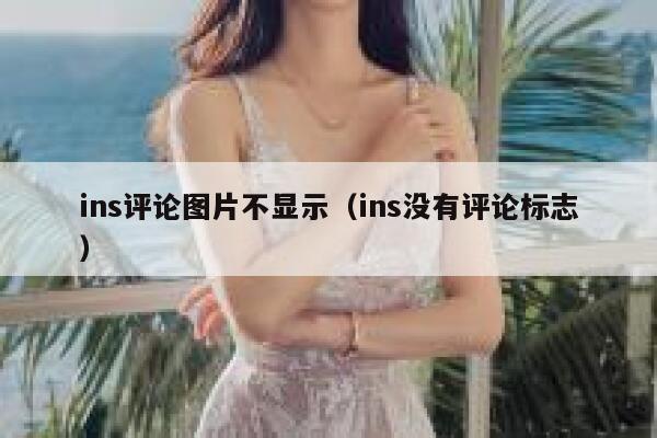 ins评论图片不显示（ins没有评论标志） 第1张