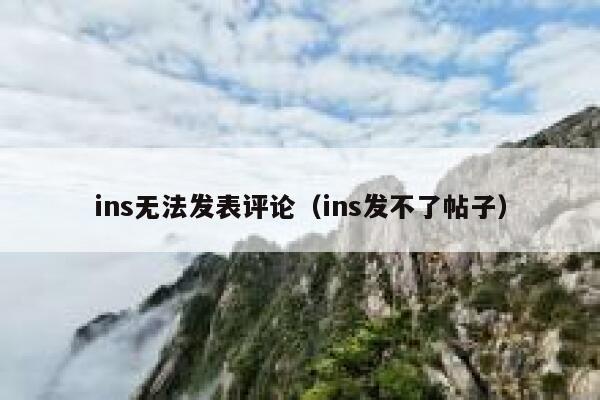 ins无法发表评论（ins发不了帖子） 第1张