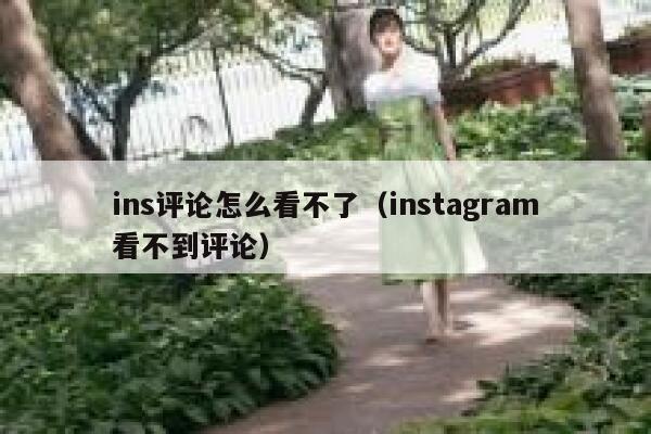 ins评论怎么看不了（instagram看不到评论） 第1张