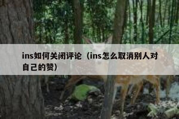ins如何关闭评论（ins怎么取消别人对自己的赞） 第1张