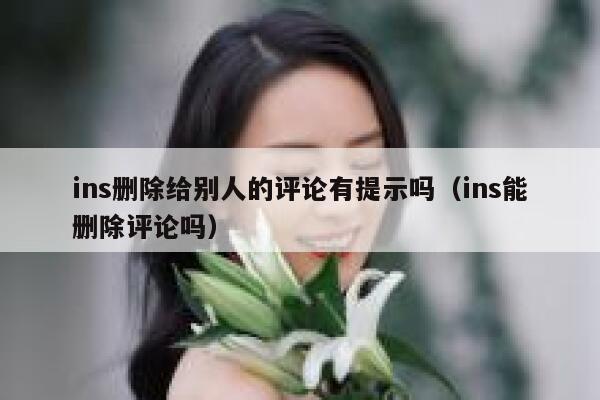 ins删除给别人的评论有提示吗（ins能删除评论吗） 第1张