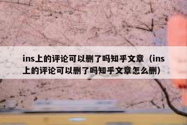 ins上的评论可以删了吗知乎文章（ins上的评论可以删了吗知乎文章怎么删） 第1张