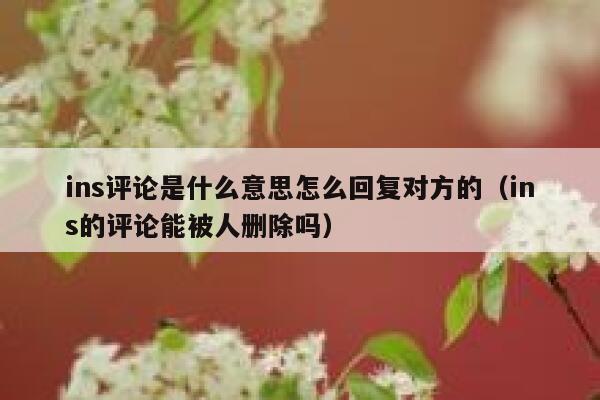 ins评论是什么意思怎么回复对方的（ins的评论能被人删除吗） 第1张