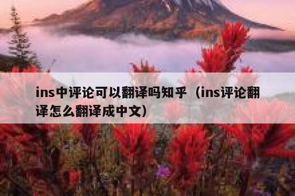 ins中评论可以翻译吗知乎（ins评论翻译怎么翻译成中文） 第1张