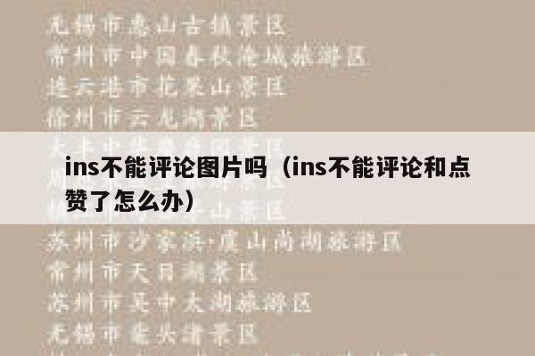 ins不能评论图片吗（ins不能评论和点赞了怎么办） 第1张