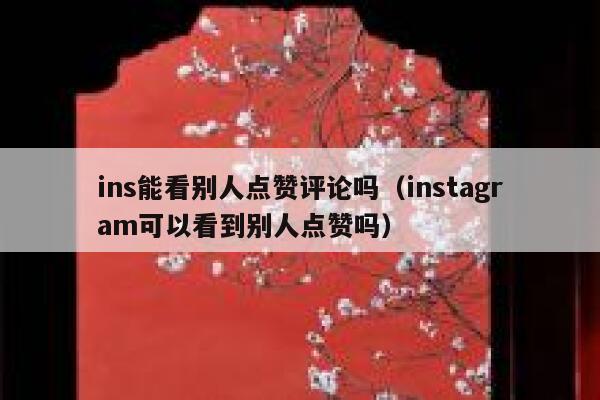 ins能看别人点赞评论吗（instagram可以看到别人点赞吗） 第1张