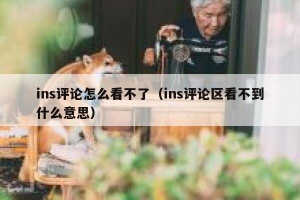 ins评论怎么看不了（ins评论区看不到什么意思） 第1张
