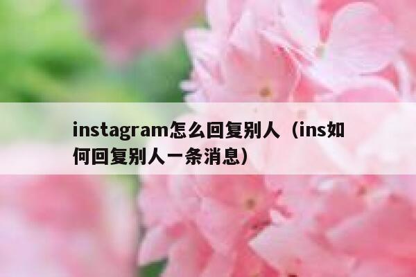 instagram怎么回复别人（ins如何回复别人一条消息） 第1张