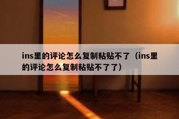 ins里的评论怎么复制粘贴不了（ins里的评论怎么复制粘贴不了了） 第1张