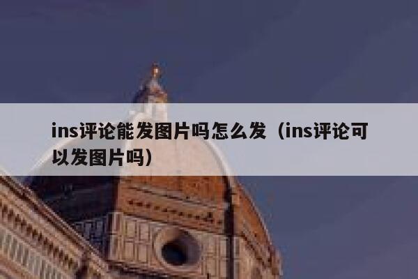 ins评论能发图片吗怎么发（ins评论可以发图片吗） 第1张