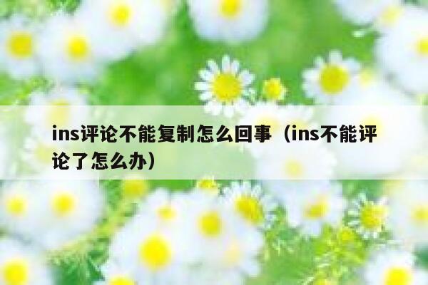 ins评论不能复制怎么回事（ins不能评论了怎么办） 第1张