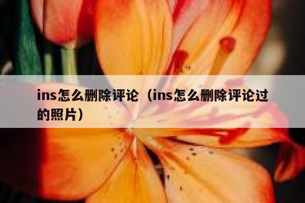 ins怎么删除评论（ins怎么删除评论过的照片） 第1张