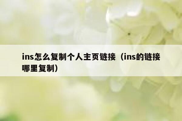 ins怎么复制个人主页链接（ins的链接哪里复制） 第1张