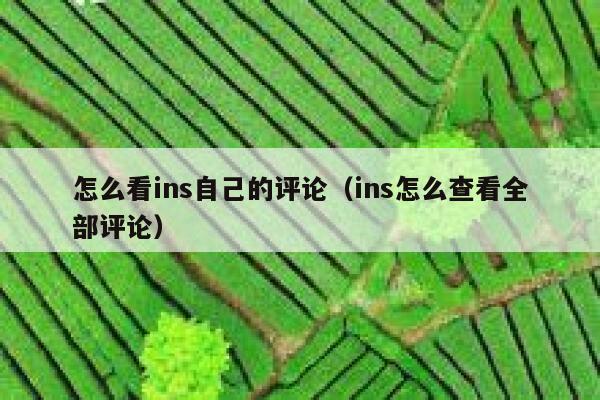 怎么看ins自己的评论（ins怎么查看全部评论） 第1张