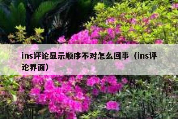 ins评论显示顺序不对怎么回事（ins评论界面） 第1张