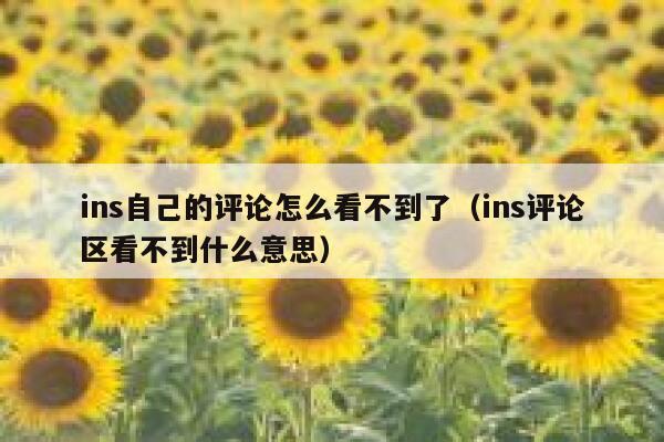 ins自己的评论怎么看不到了（ins评论区看不到什么意思） 第1张