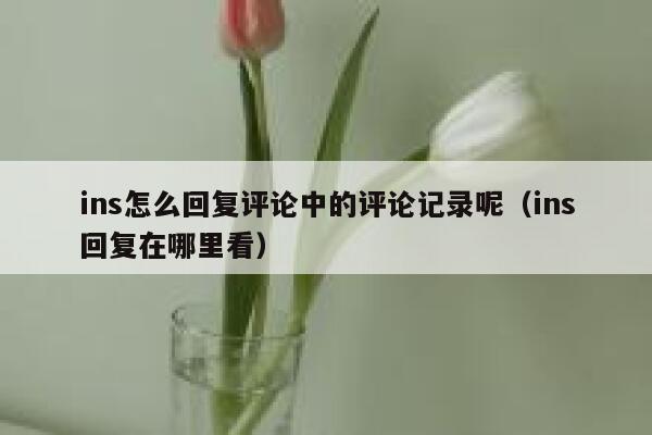 ins怎么回复评论中的评论记录呢（ins回复在哪里看） 第1张