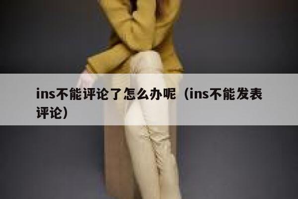 ins不能评论了怎么办呢（ins不能发表评论） 第1张