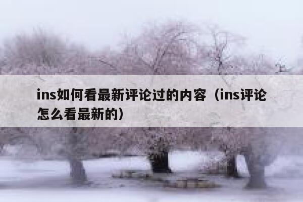 ins如何看最新评论过的内容（ins评论怎么看最新的） 第1张
