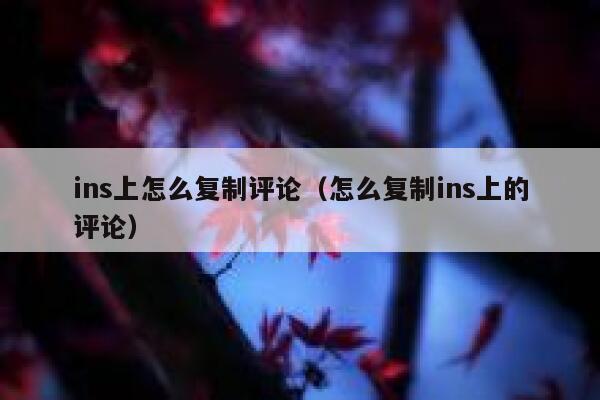 ins上怎么复制评论（怎么复制ins上的评论） 第1张