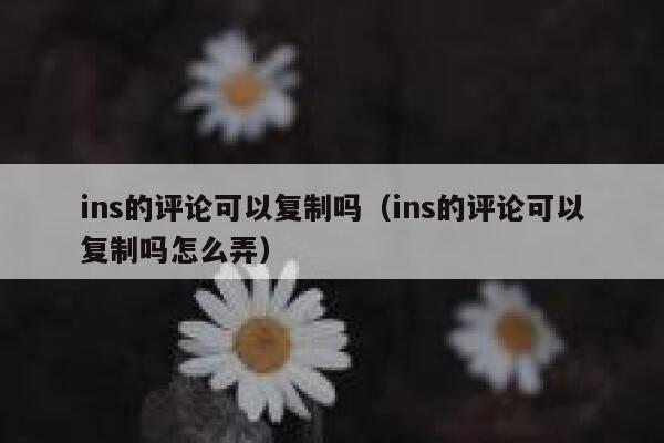 ins的评论可以复制吗（ins的评论可以复制吗怎么弄） 第1张