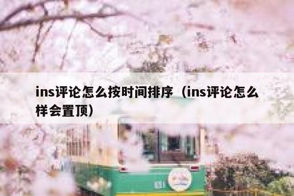 ins评论怎么按时间排序（ins评论怎么样会置顶） 第1张