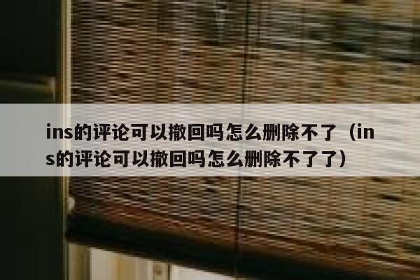 ins的评论可以撤回吗怎么删除不了（ins的评论可以撤回吗怎么删除不了了） 第1张