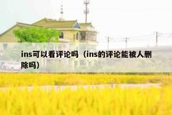 ins可以看评论吗（ins的评论能被人删除吗） 第1张