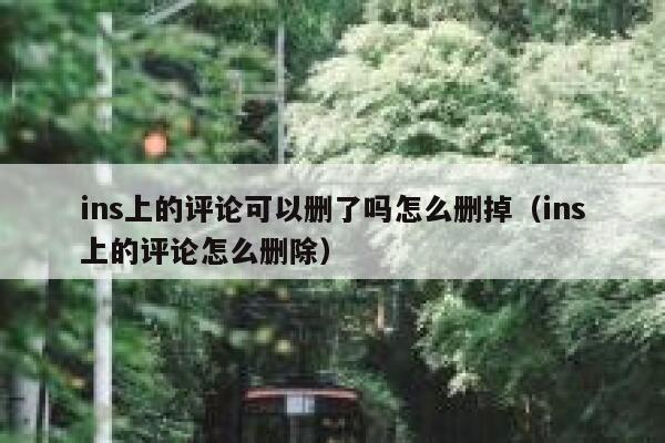 ins上的评论可以删了吗怎么删掉（ins上的评论怎么删除） 第1张