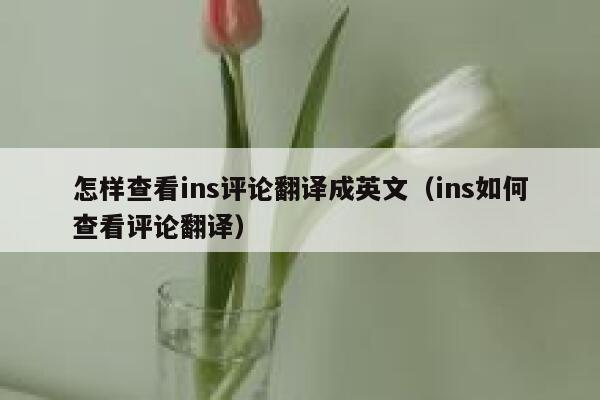怎样查看ins评论翻译成英文（ins如何查看评论翻译） 第1张