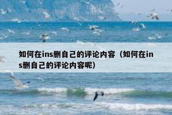 如何在ins删自己的评论内容（如何在ins删自己的评论内容呢） 第1张