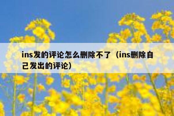 ins发的评论怎么删除不了（ins删除自己发出的评论） 第1张
